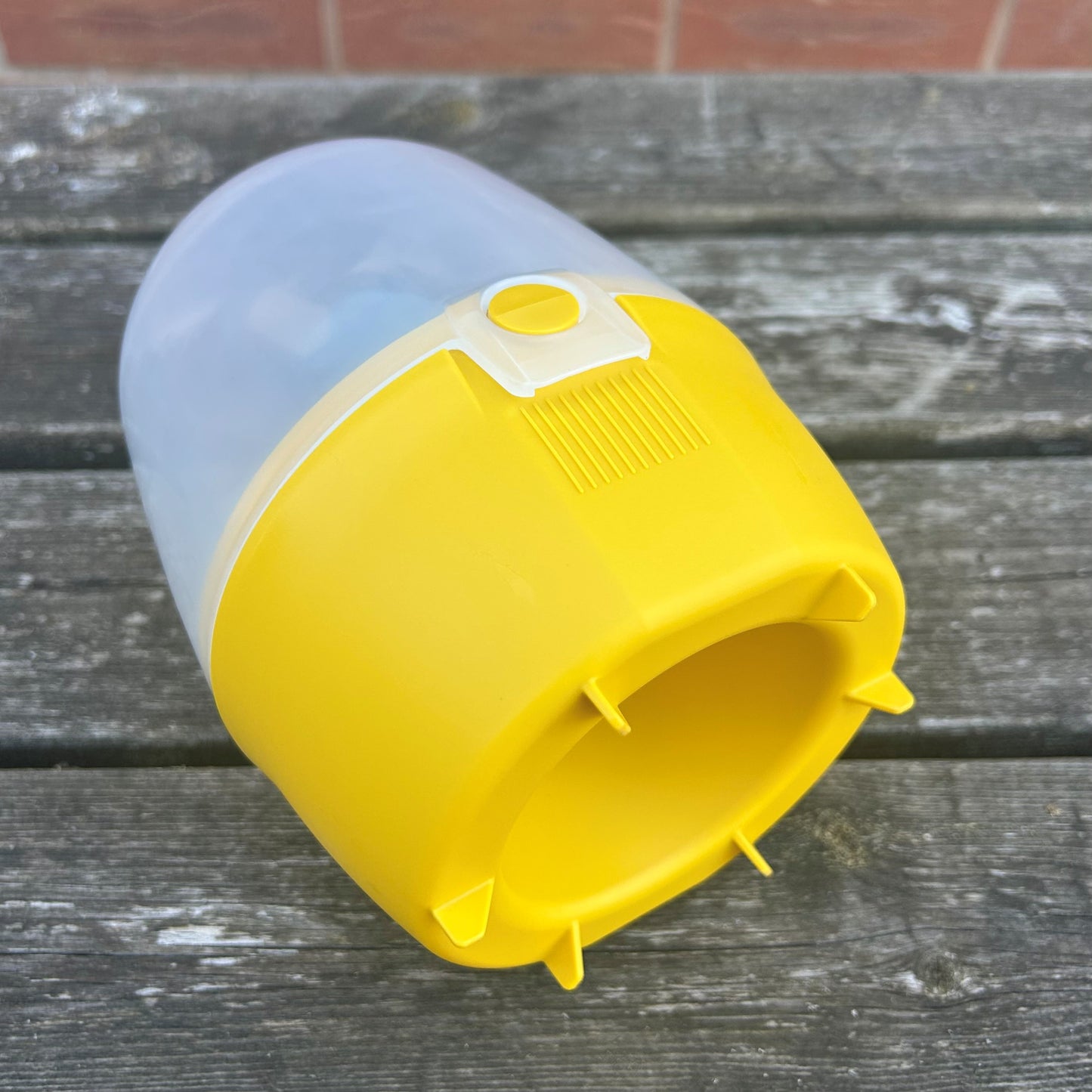 Dome Wasp & Fly Catcher
