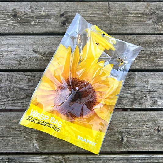 Disposable wasp bag