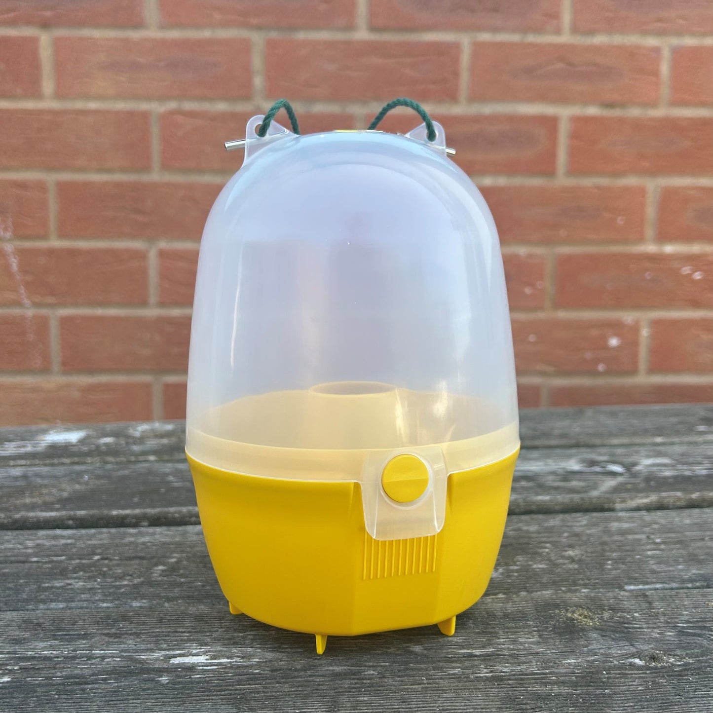 Dome Wasp & Fly Catcher