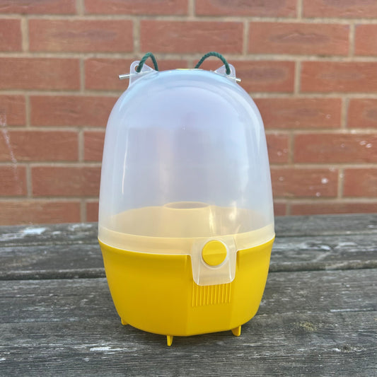 Dome Wasp & Fly Catcher