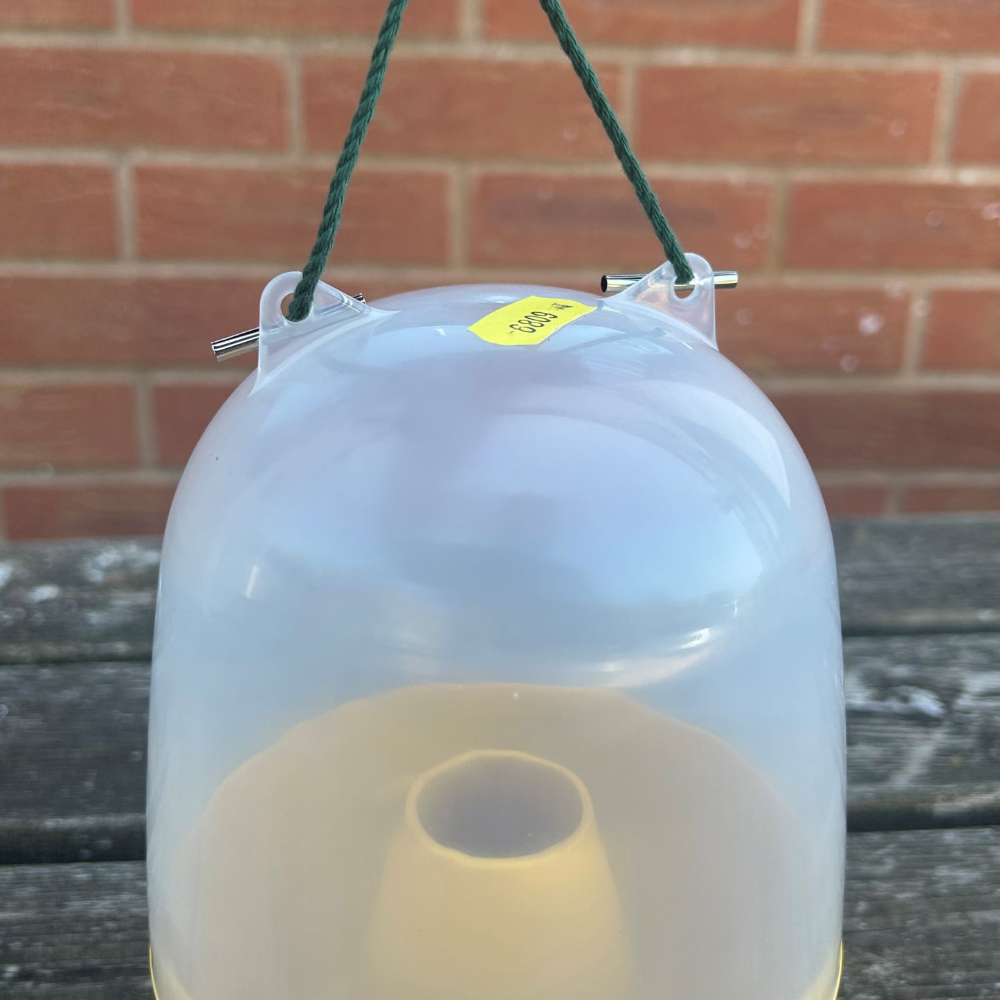 Dome Wasp & Fly Catcher