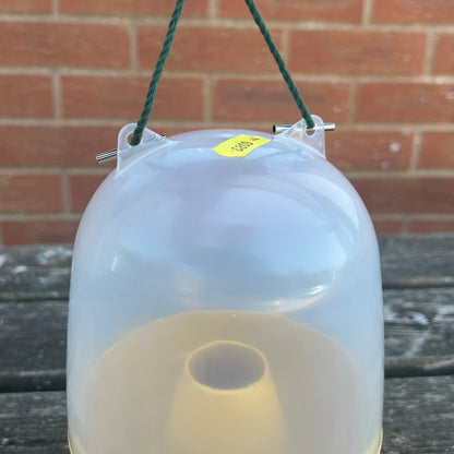 Dome Wasp & Fly Catcher