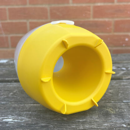 Dome Wasp & Fly Catcher