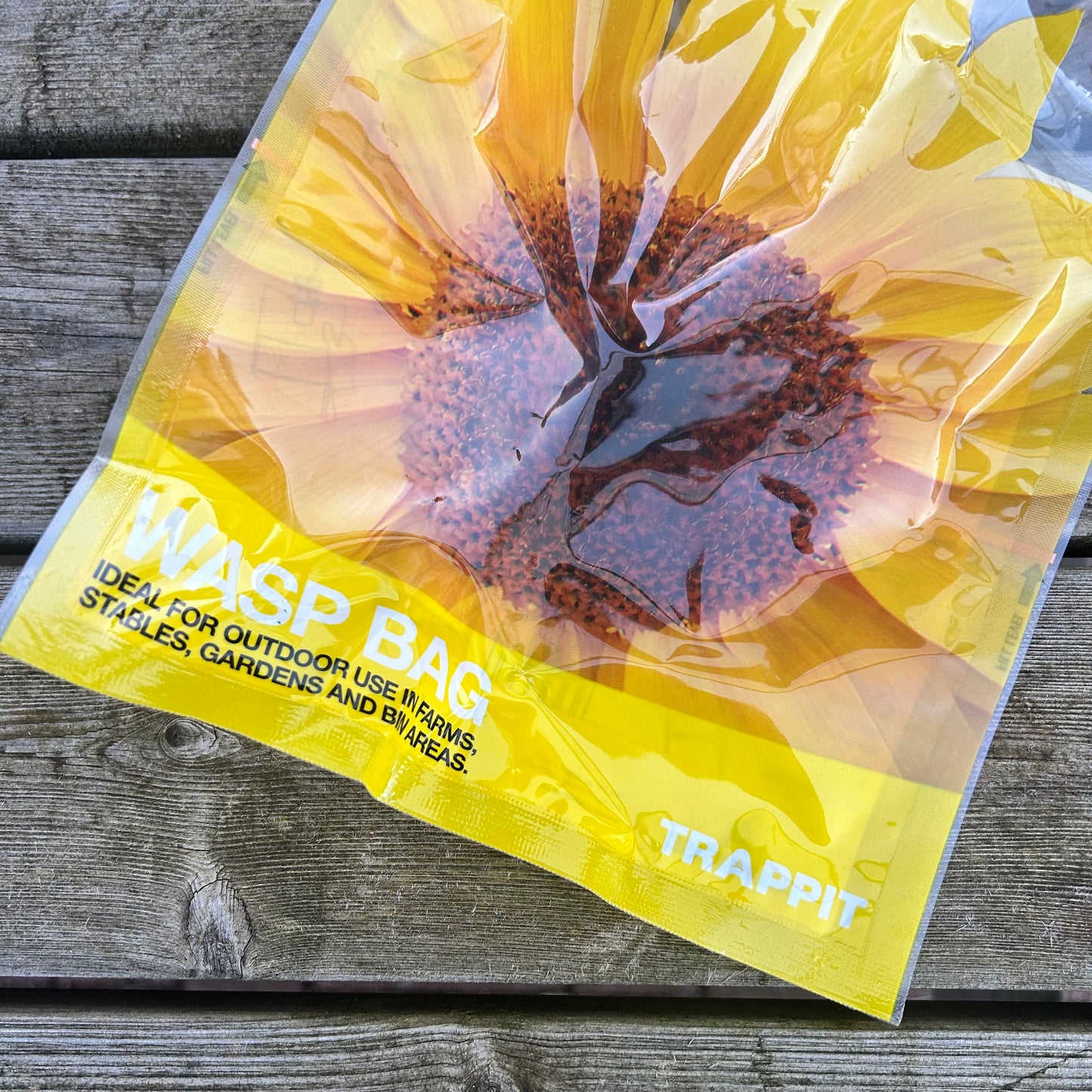 Disposable wasp bag