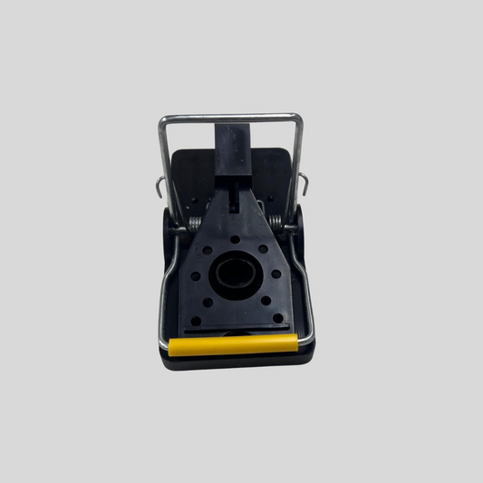 Mouse Trap