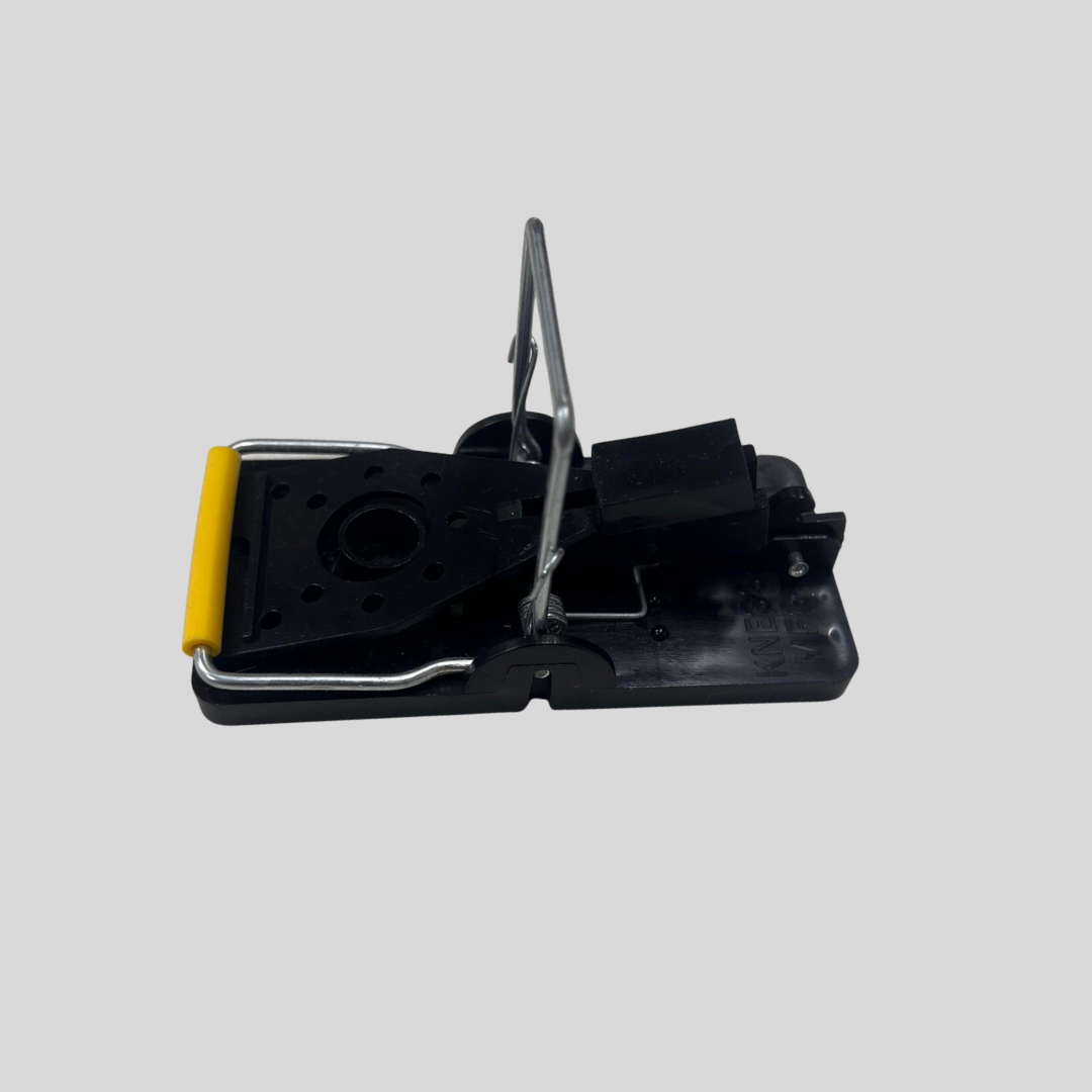 Mouse Trap