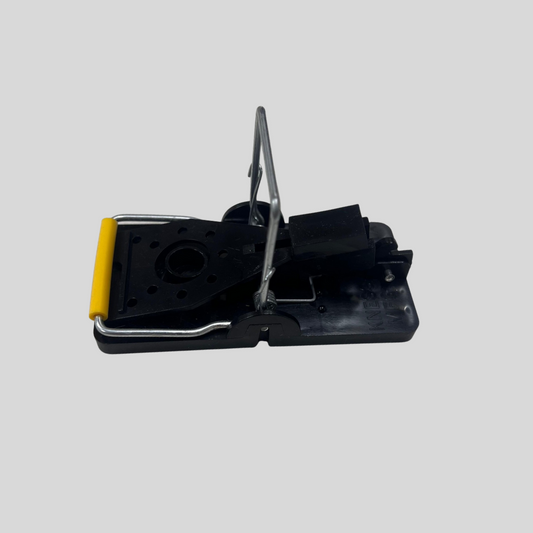 Mouse Trap