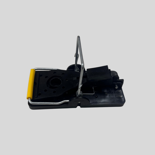 Rat Trap