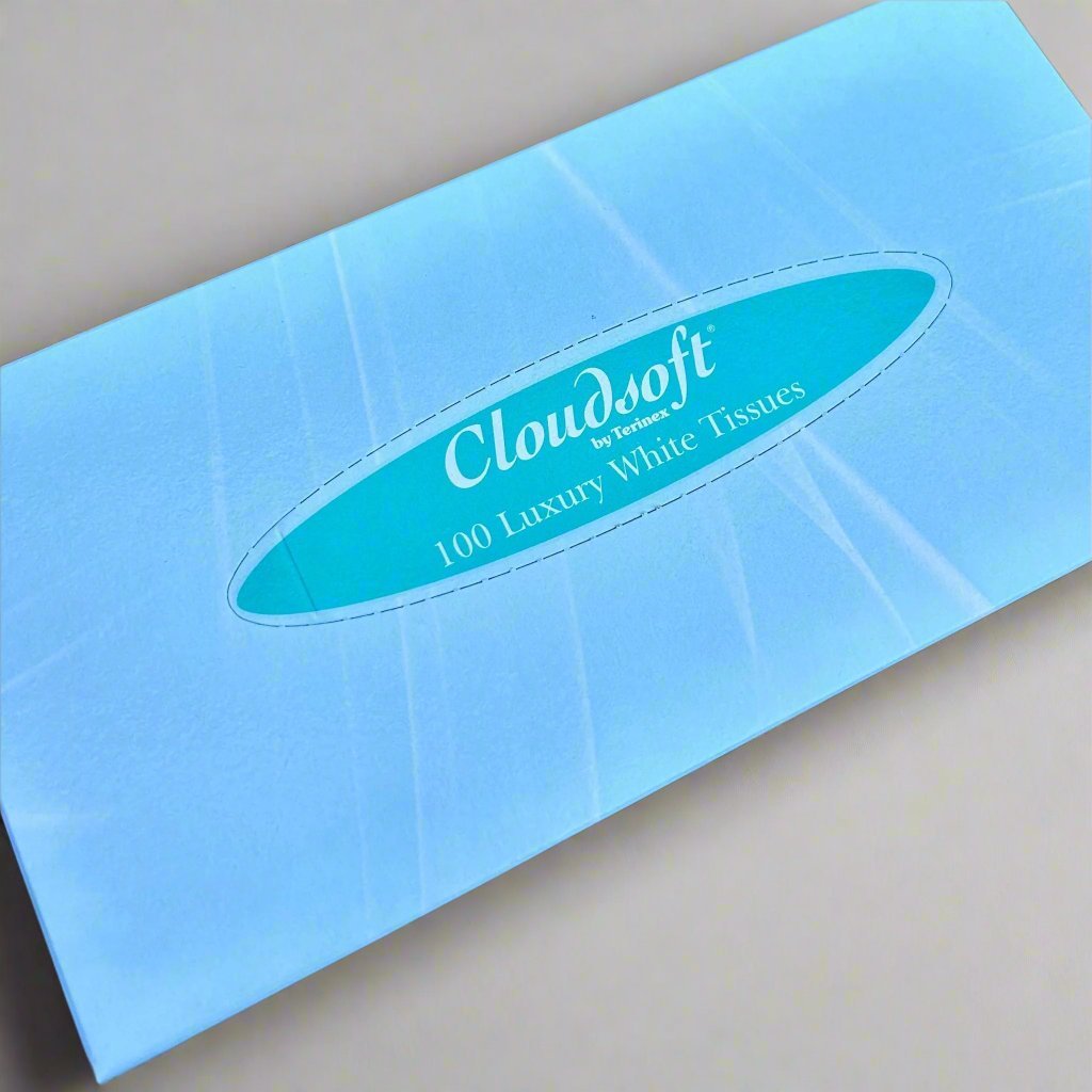 Cloudsoft Luxury Facial Tissues - 100 Sheets 2ply 190mm x 200mm - Cleaning Products UK