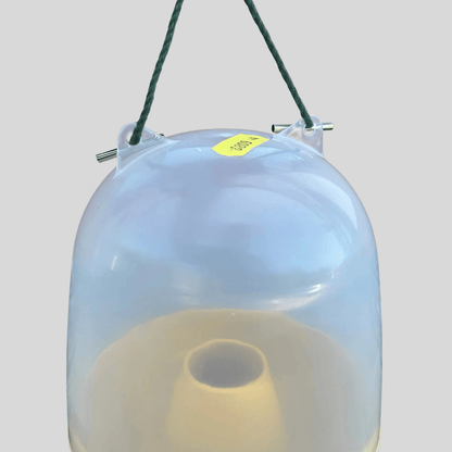 Dome Wasp & Fly Catcher - Cleaning Products UK