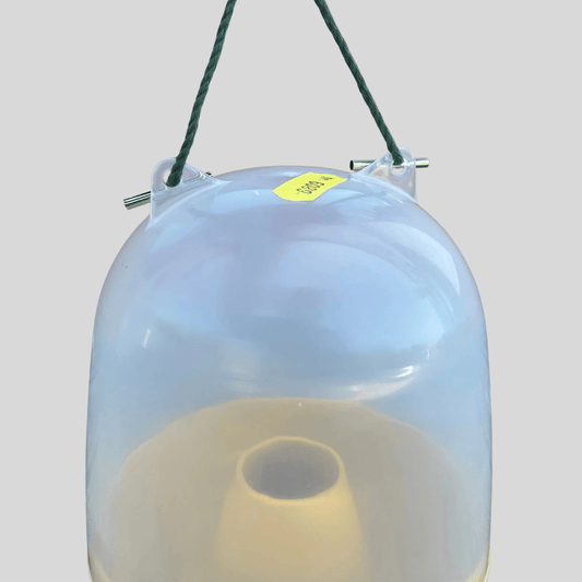 Dome Wasp & Fly Catcher - Cleaning Products UK