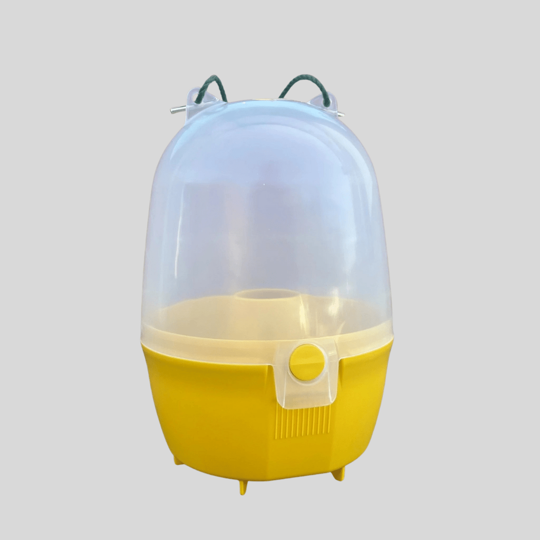 Dome Wasp & Fly Catcher - Cleaning Products UK