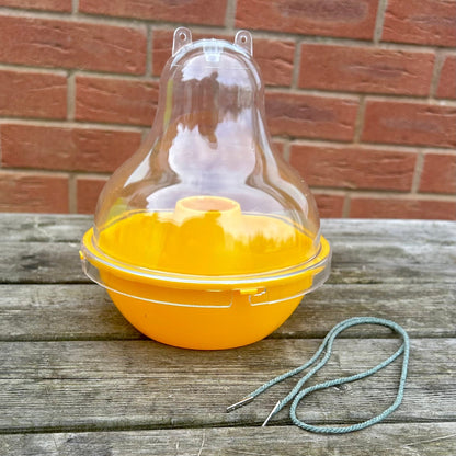 Dome Wasp & Fly Catcher - Cleaning Products UK