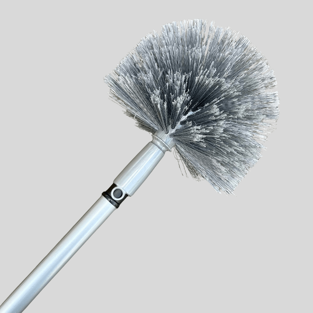 Domed Cobweb Duster with Extending Pole - Cleaning Products UK